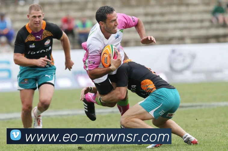 威尼斯人官网APP 封面图